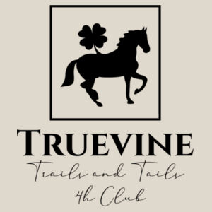 District Fleece Hoodie  Design