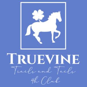 Youth Hooded Sweatshirt Design