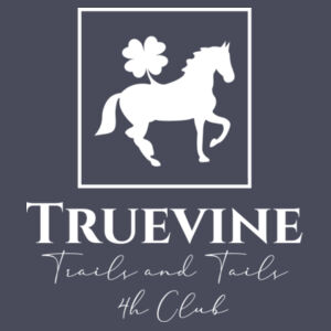 Youth Tri-blend Hooded T-Shirt Design